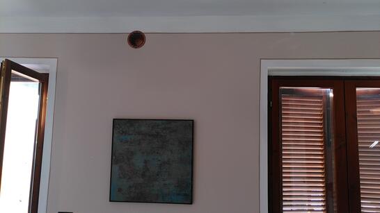 Frisch gestrichene Wand im Wohnzimmer